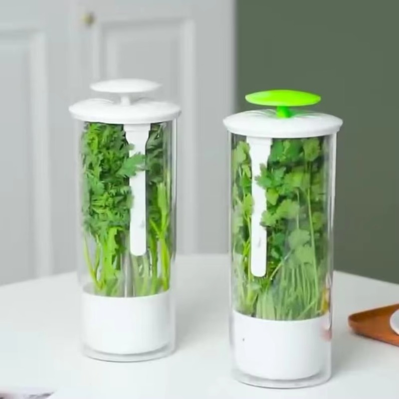 กล่องเก็บสมุนไพร กล่องเก็บผักแ - Kitchen Gadgets Organizer บทวิจารณ์และราคา