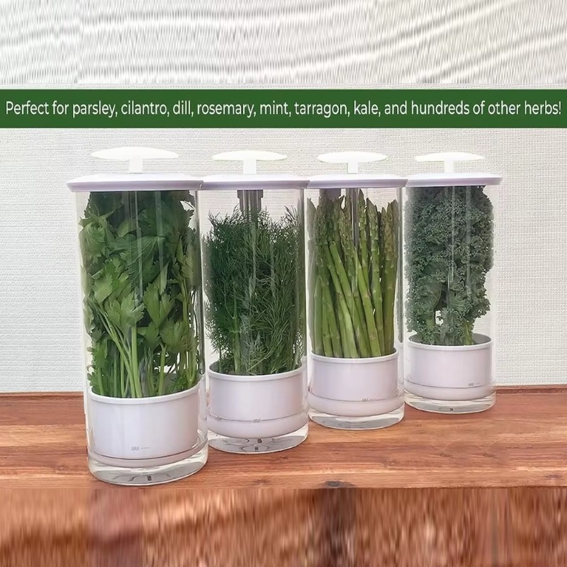 กล่องเก็บสมุนไพร กล่องเก็บผักแ - Kitchen Gadgets Organizer บทวิจารณ์และราคา